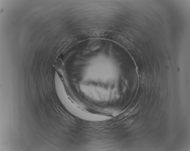 X0000073701202200608311721