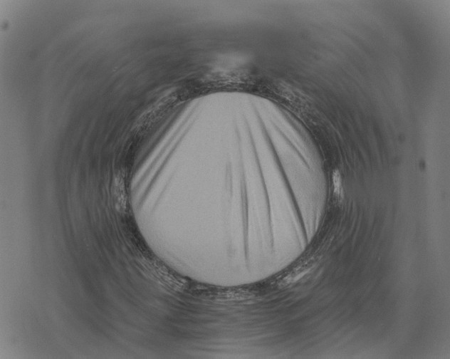 X0000073701203200608311721