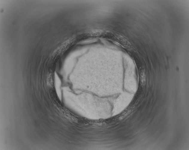 X0000073701204200608311721