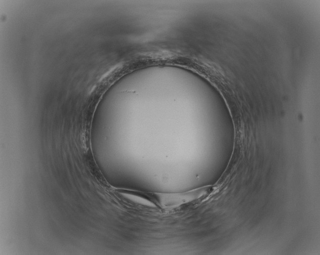 X0000073701205200608311721