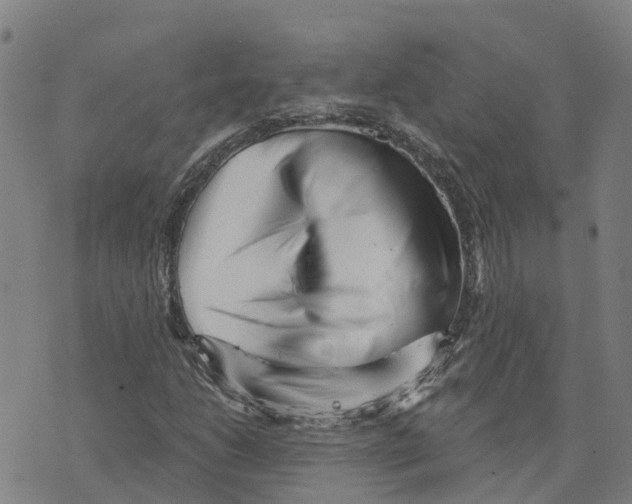 X0000073701206200608311721