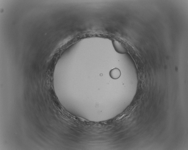 X0000073701207200608311721