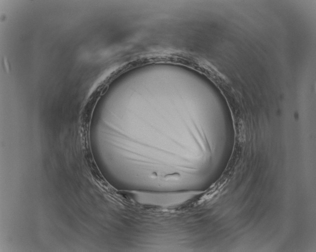 X0000073701208200608311721