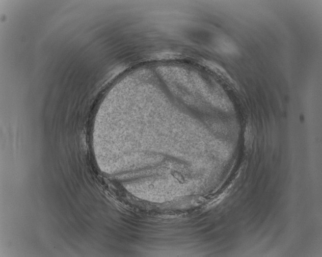 X0000073701209200608311721