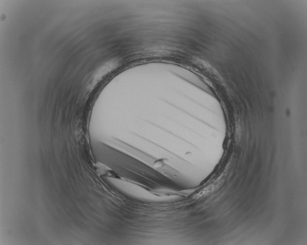 X0000073701210200608311721