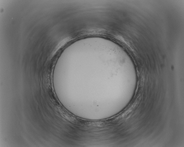 X0000073701211200608311721