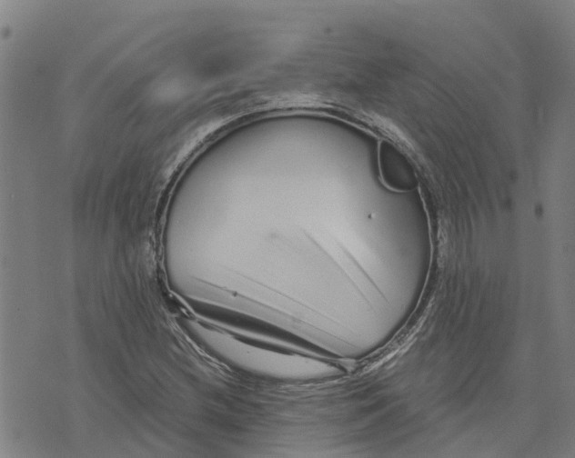 X0000073701212200608311721