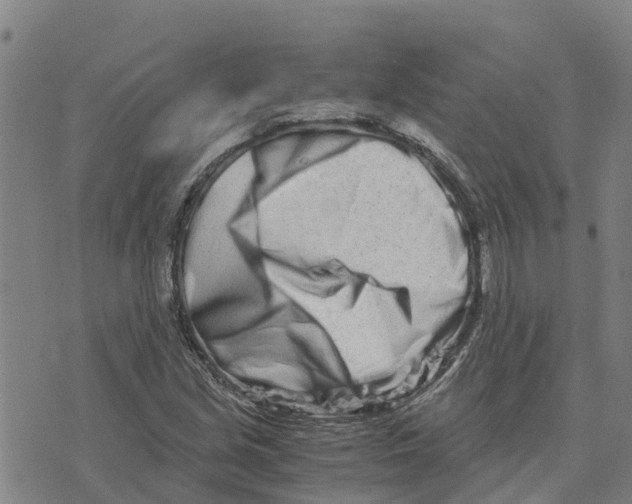 X0000073701213200608311721