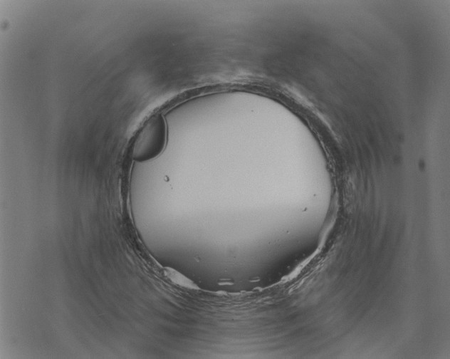 X0000073701214200608311721