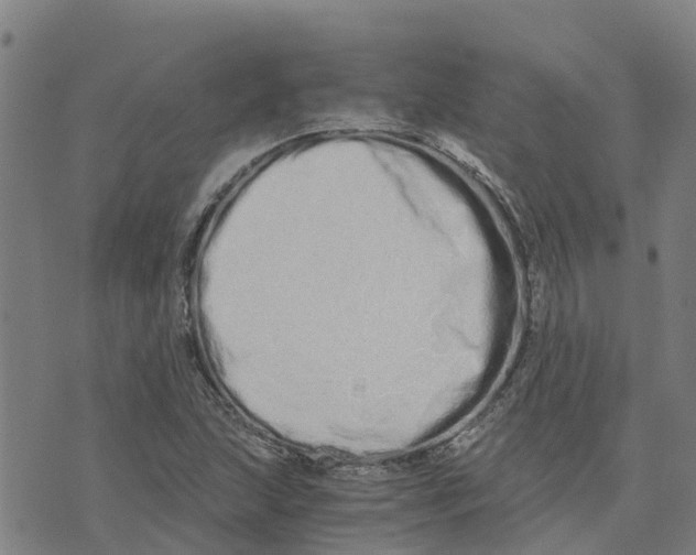 X0000073701215200608311721