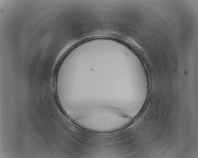 X0000073701216200608311721