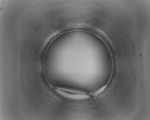 X0000073701218200608311721