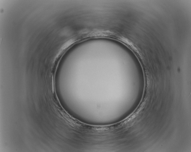 X0000073701219200608311721