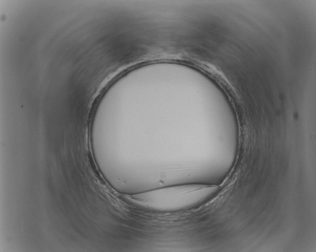 X0000073701220200608311721