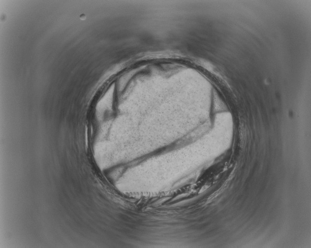 X0000073701221200608311721