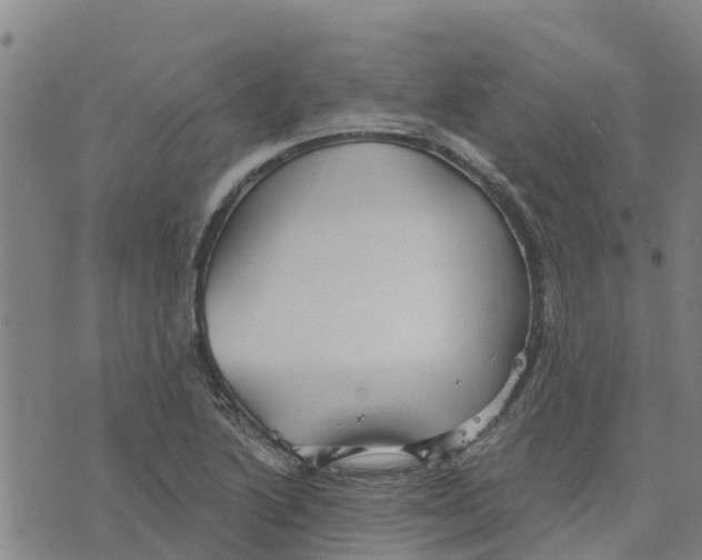 X0000073701222200608311721