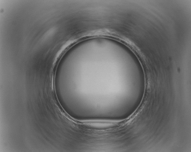 X0000073701224200608311721