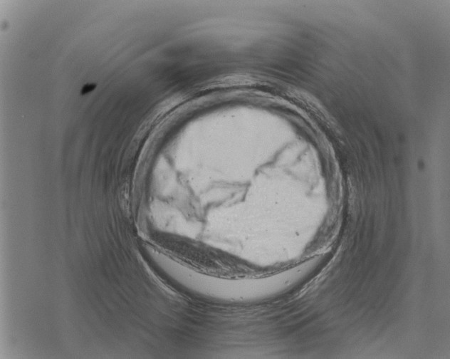 X0000073701225200608311721