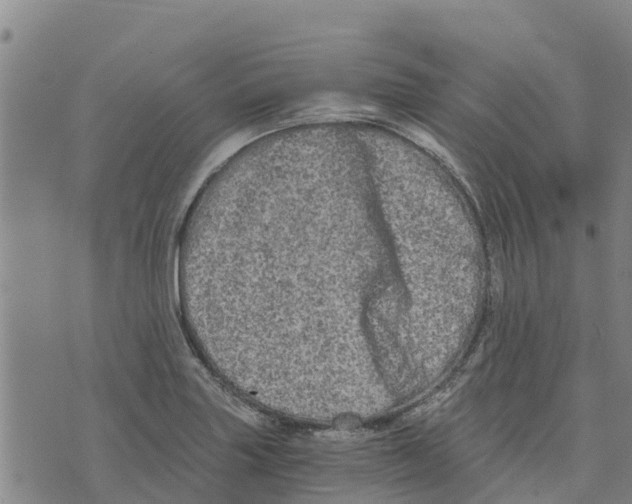 X0000073701227200608311721