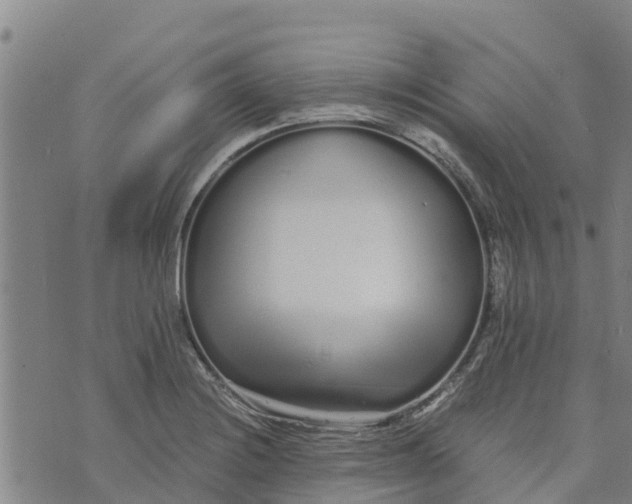 X0000073701228200608311721