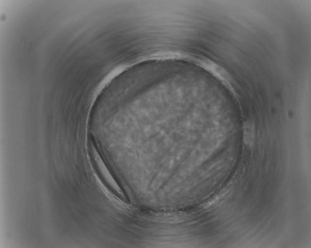 X0000073701229200608311721