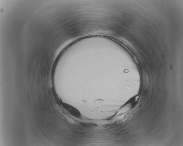 X0000073701230200608311721