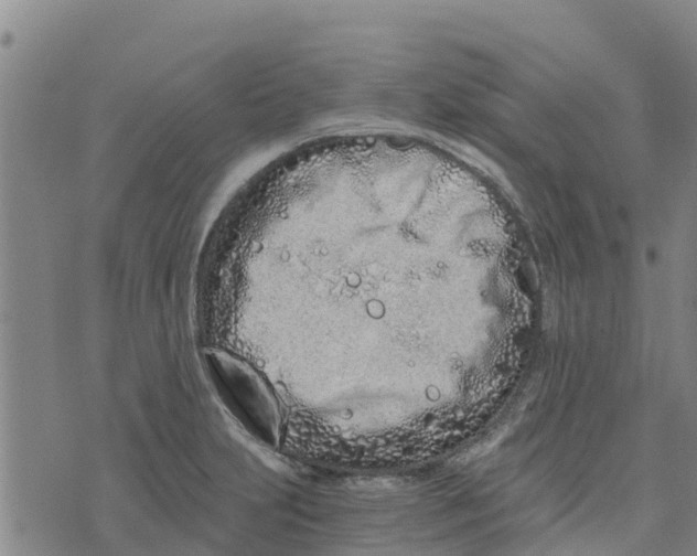 X0000073701231200608311721