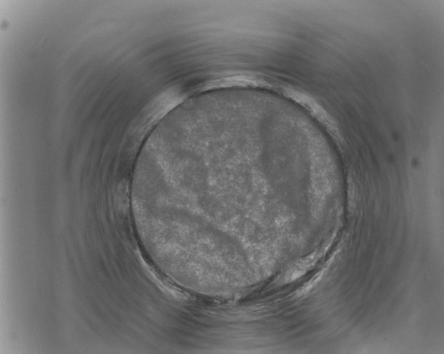 X0000073701233200608311721