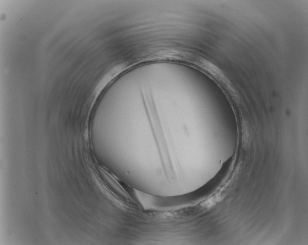 X0000073701234200608311721