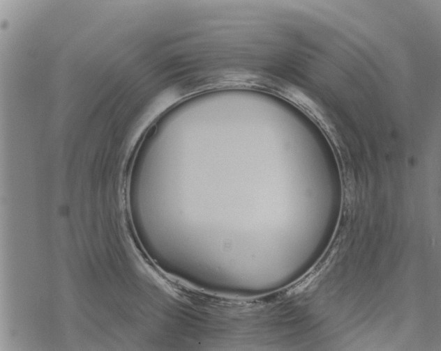 X0000073701235200608311721