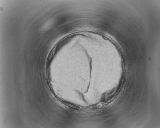 X0000073701236200608311721