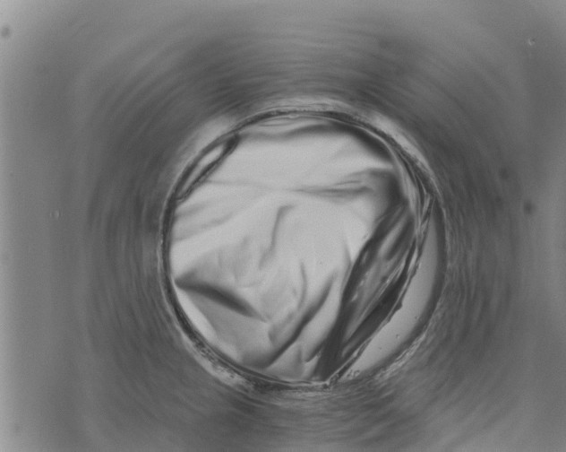 X0000073701237200608311722