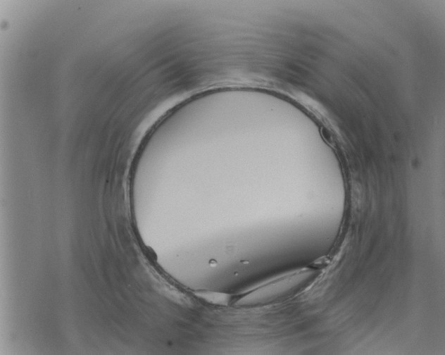 X0000073701238200608311722