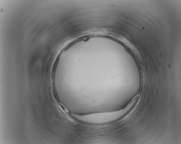 X0000073701240200608311722