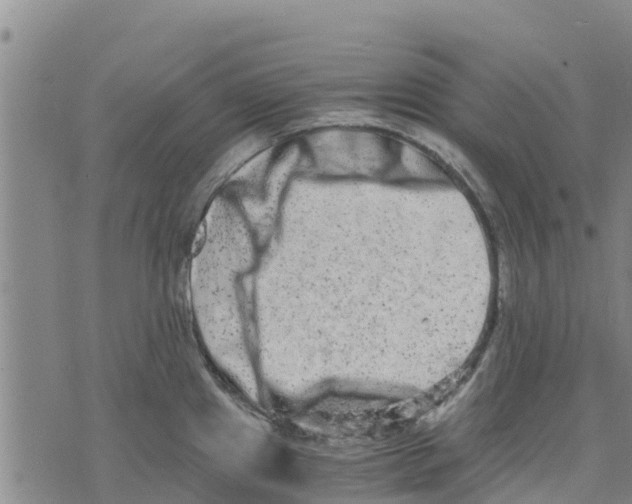 X0000073701241200608311722