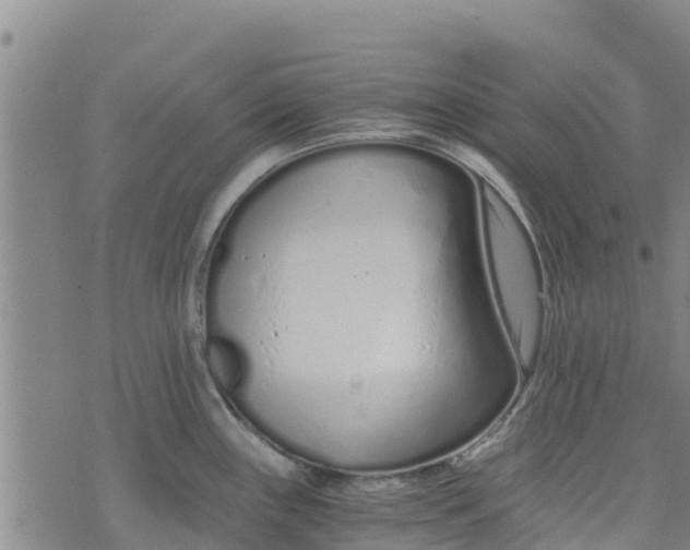 X0000073701243200608311722