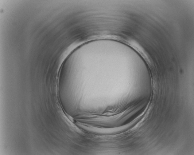 X0000073701244200608311722