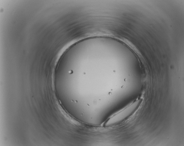 X0000073701246200608311722