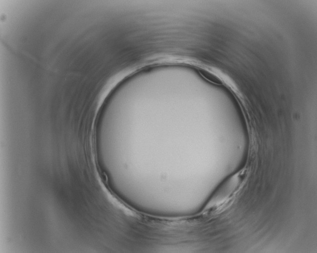 X0000073701247200608311722