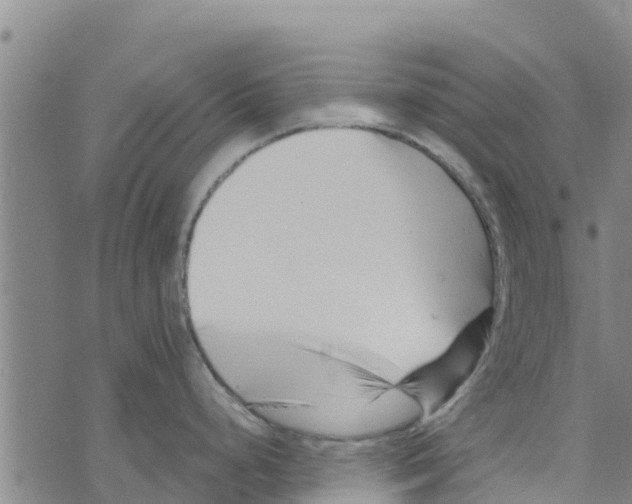 X0000073701248200608311722