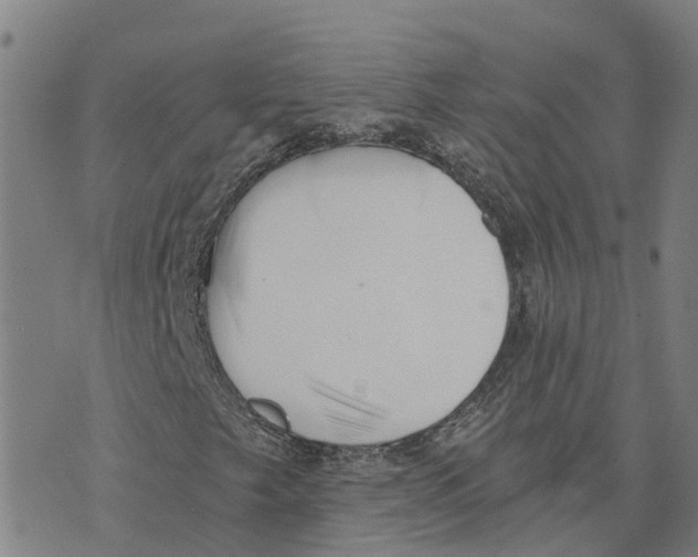 X0000073701249200608311721