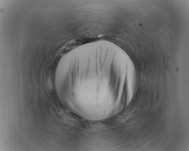 X0000073701250200608311721