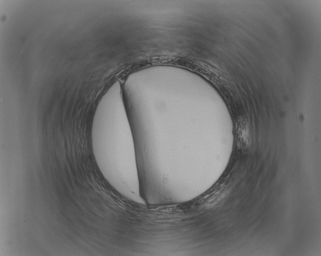 X0000073701252200608311721