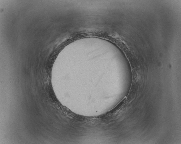 X0000073701253200608311721