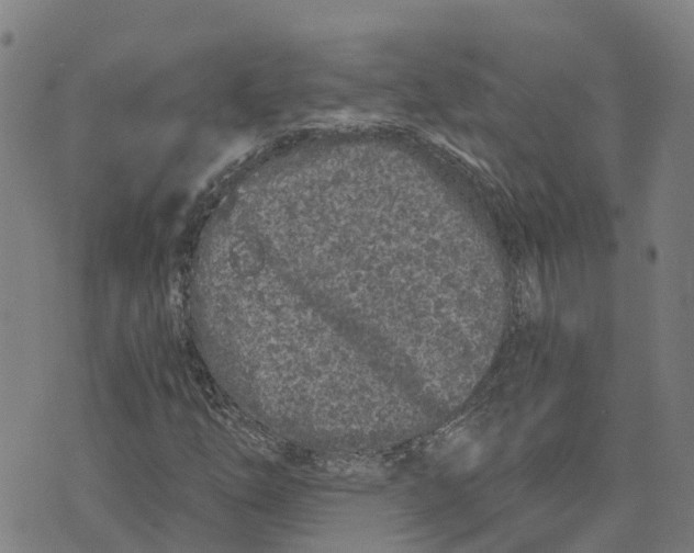 X0000073701254200608311721