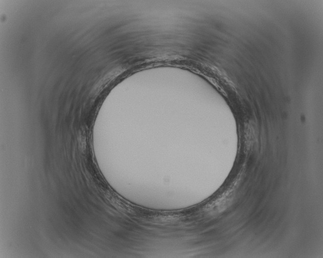 X0000073701257200608311721