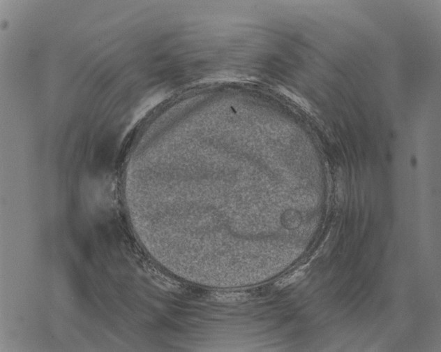 X0000073701258200608311721