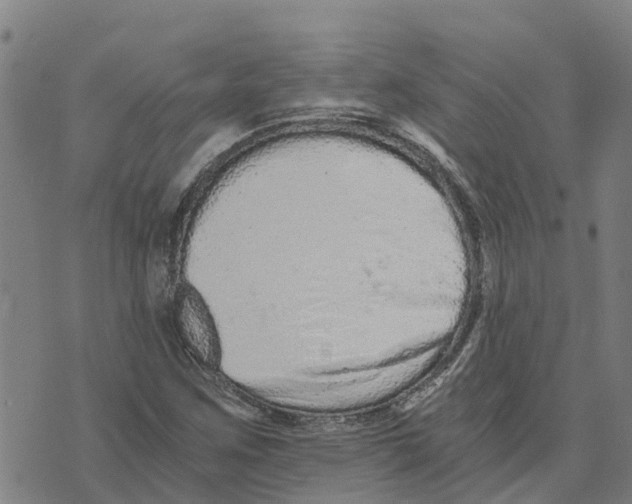 X0000073701259200608311721