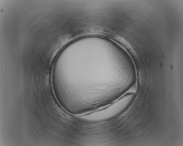 X0000073701260200608311721