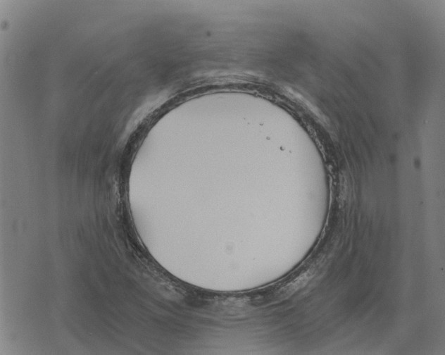 X0000073701261200608311721